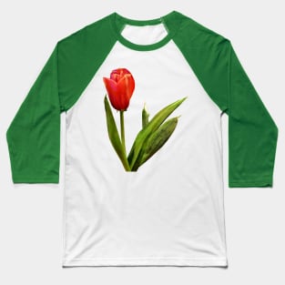 Single Red Tulip Baseball T-Shirt